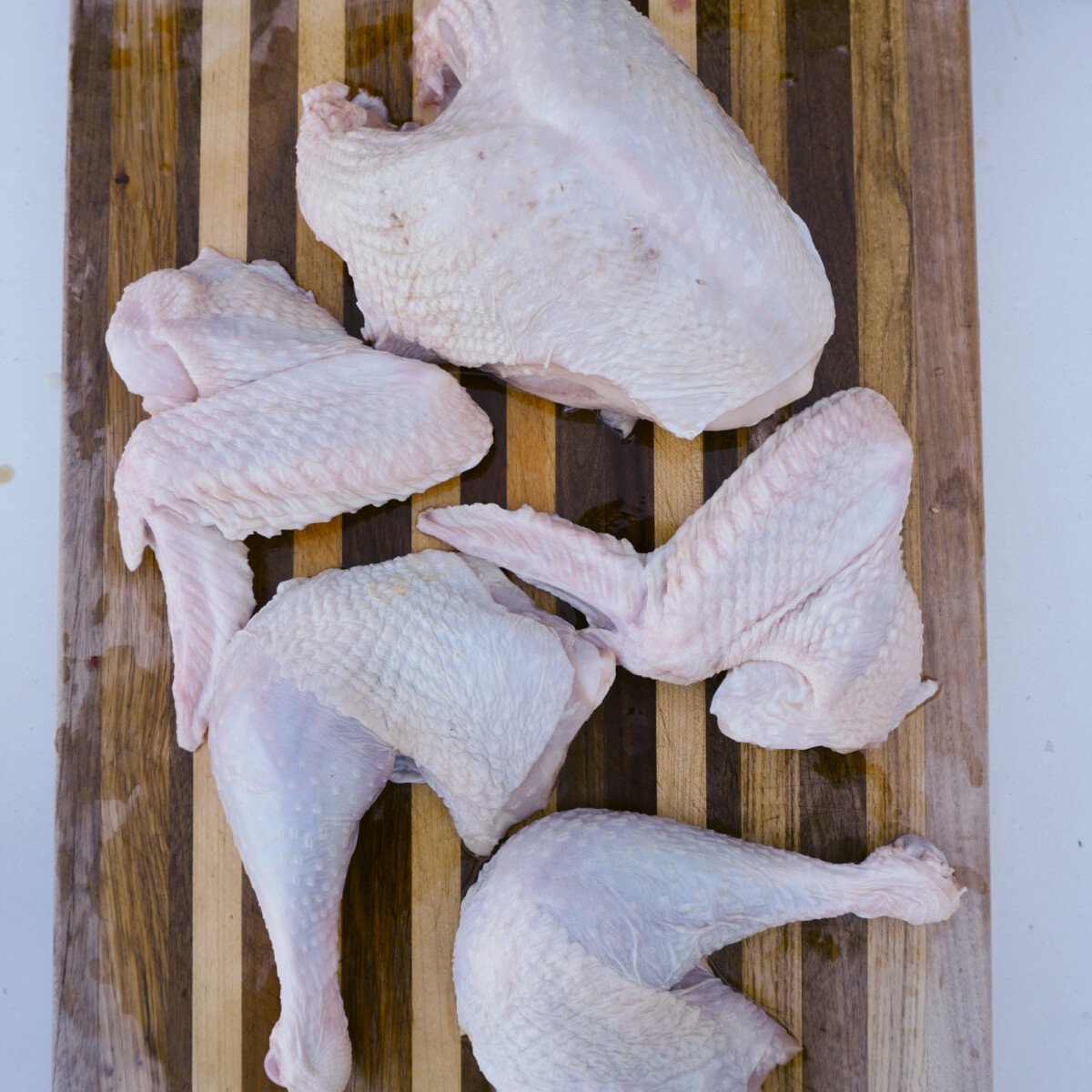 separated whole turkey into drumstick with thigh, breast and wings.