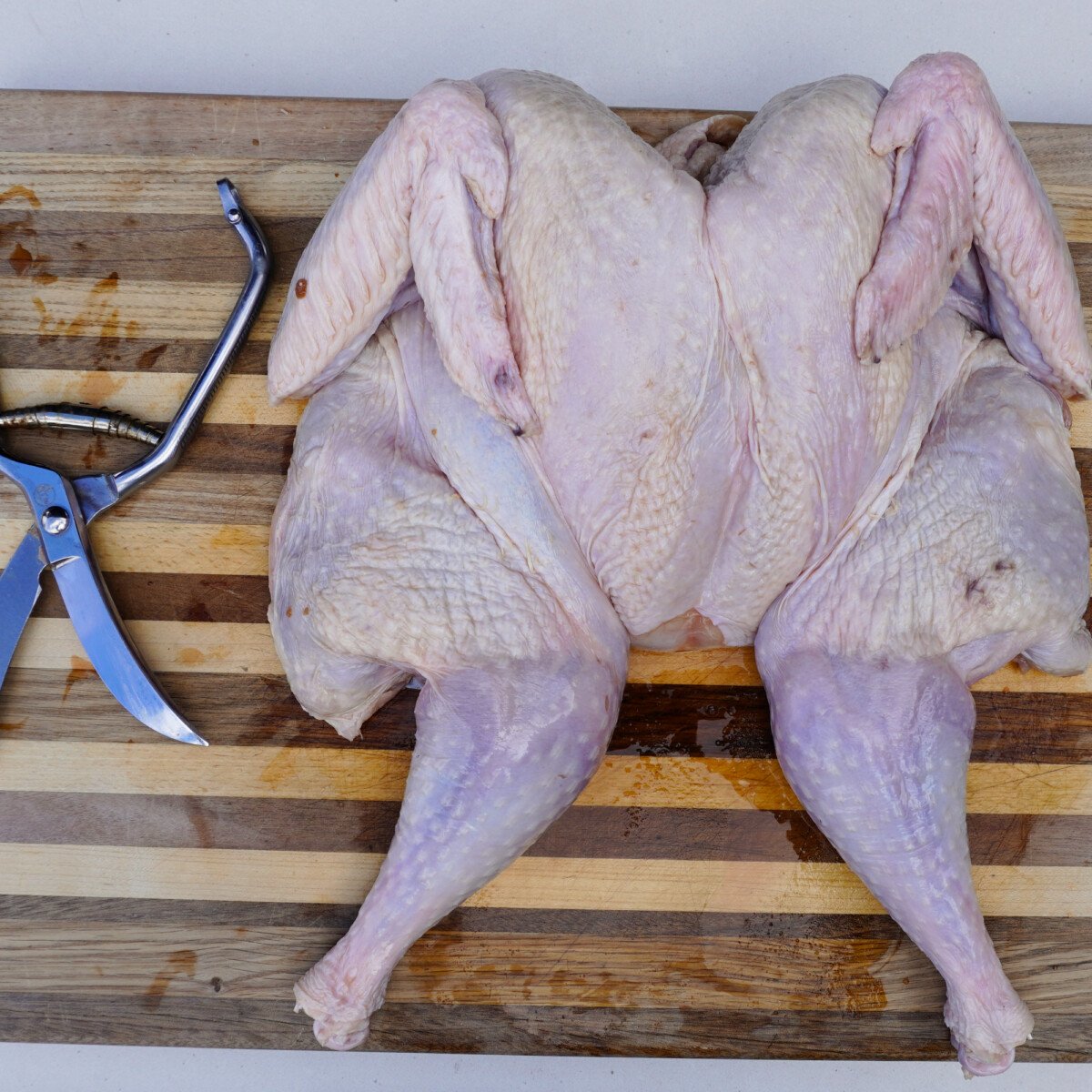 raw spatchcocked thanksgiving turkey.