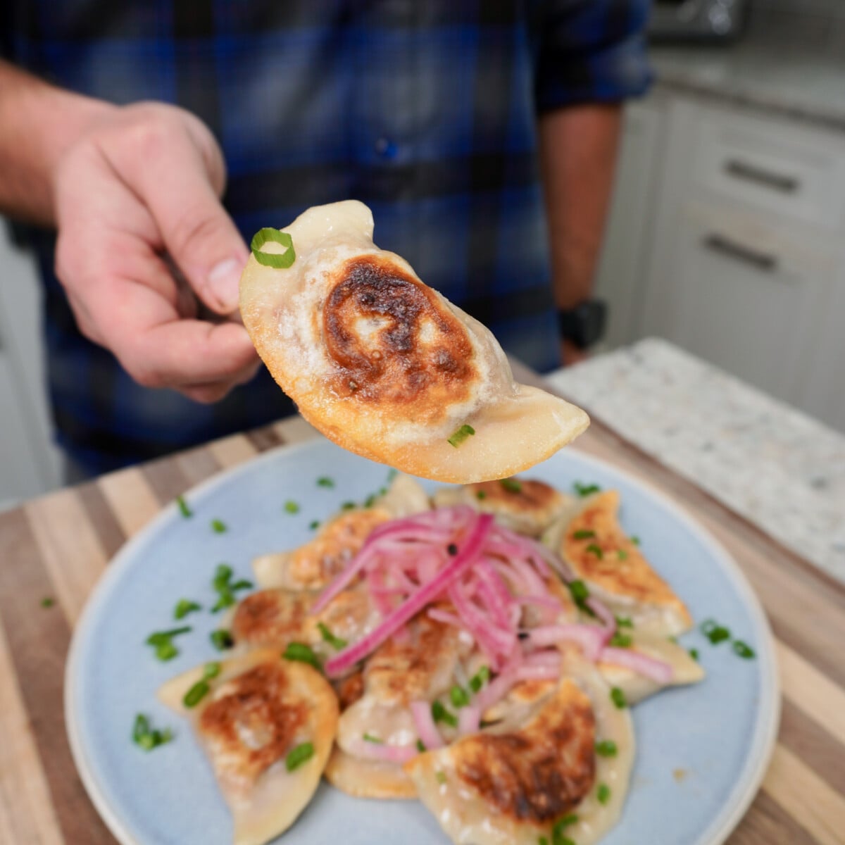 pulled pork pierogi hand held to show up close.
