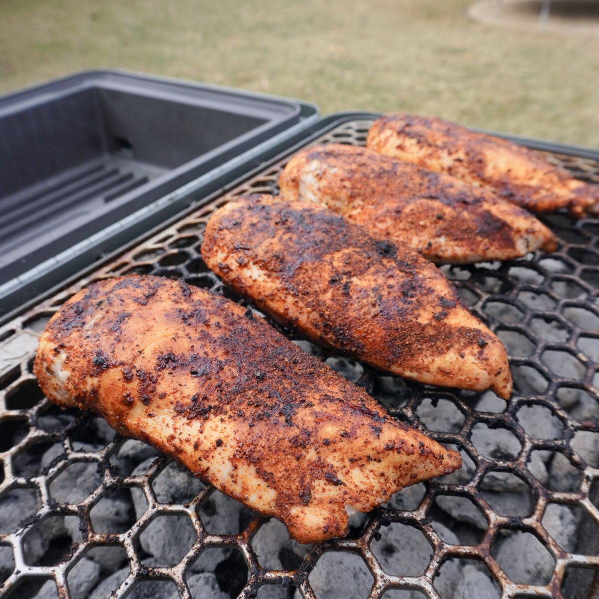 grilled chicken breast.