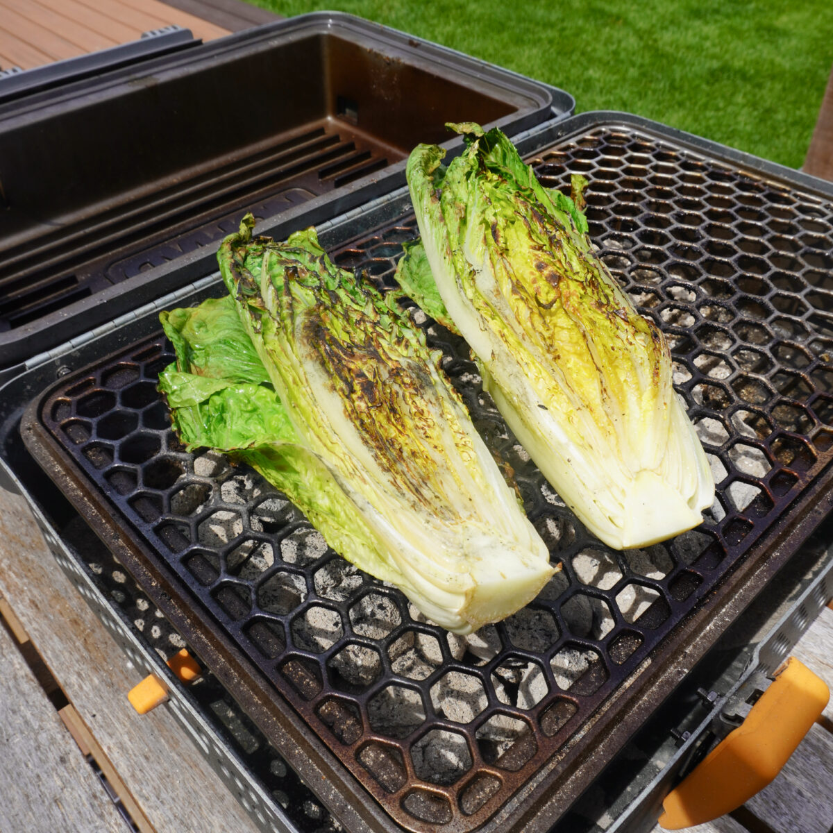 grilled romaine lettuce.